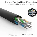 cat9.webp