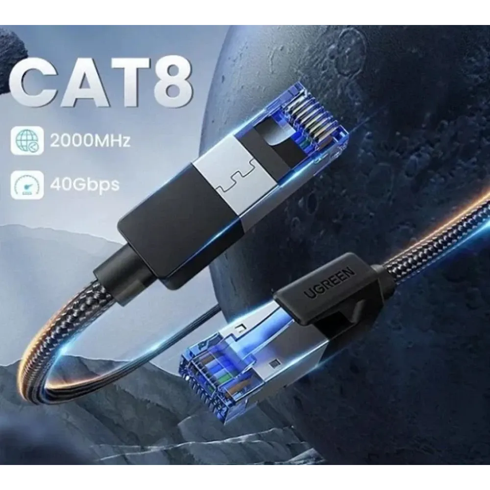 cat15.webp