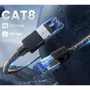 cat15.webp