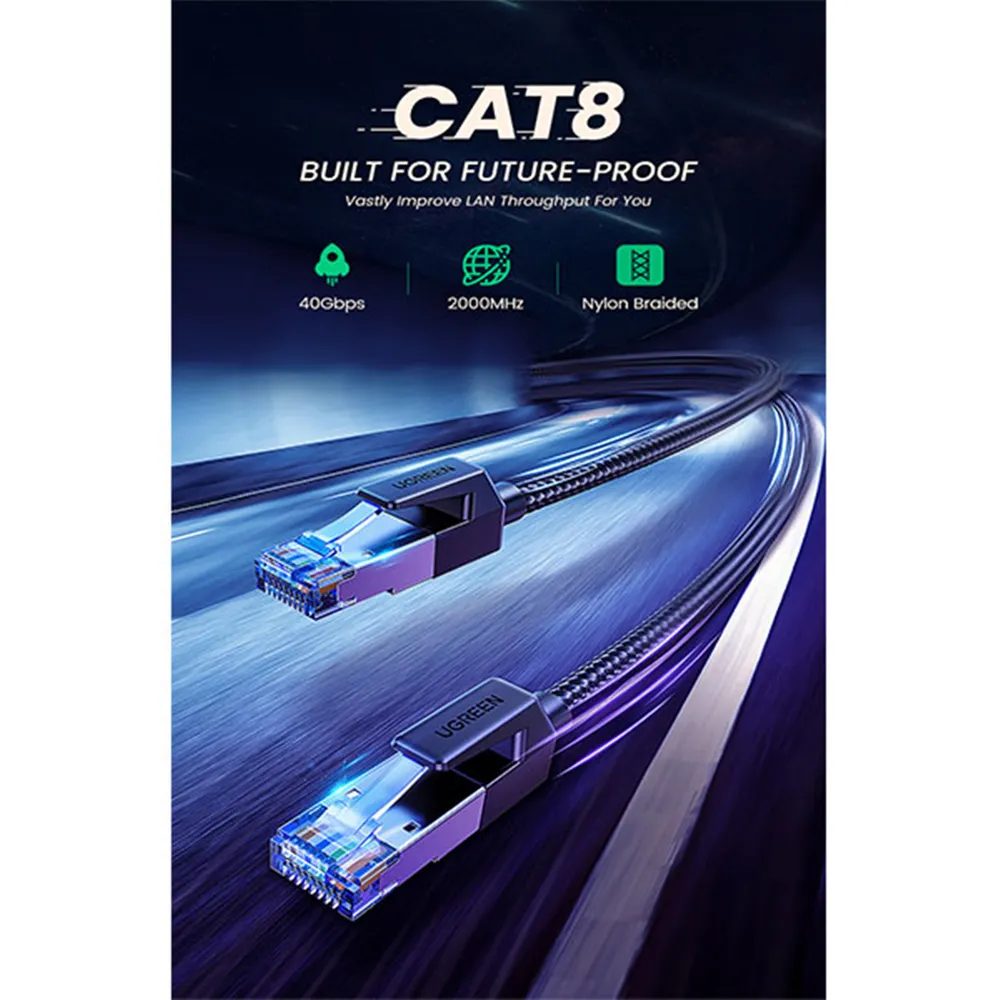 cat19.webp