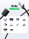 cat811.webp